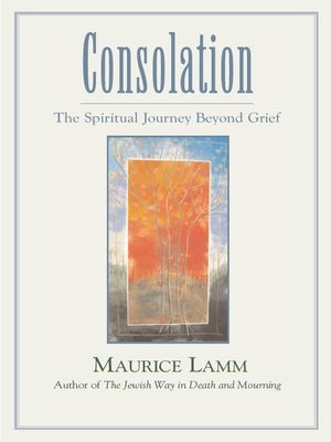 cover image of Consolation